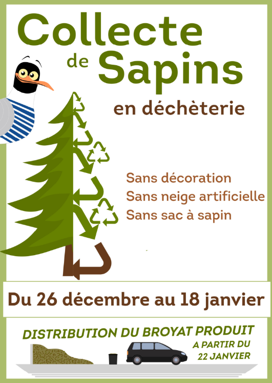 collecte-sapin-decheterie-3652