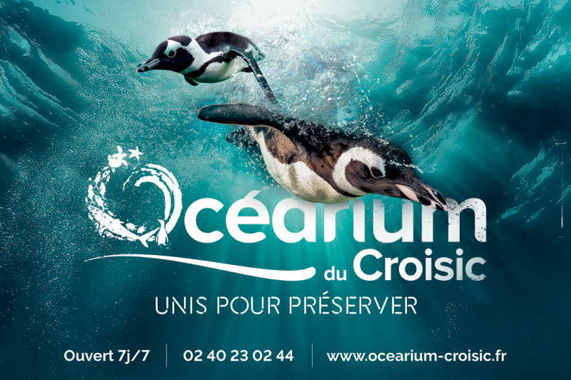 ocearium-2025-9899