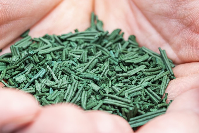 spiruline-original-8062