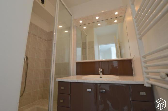 appartement-t2-vue-exceptionnelle-douche-25709