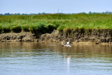 2024-06-croisie-re-sur-la-loire-a-paimboeuf-160636-25323