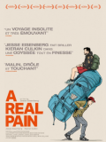 a-real-pain-affiche-25589