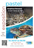 siegfried-bernard-affiche-expo-23378