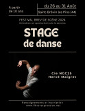 stage-danse-23395