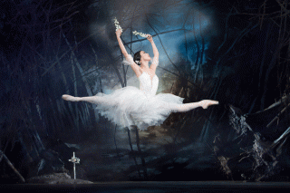 Giselle Ballet Tutu Ballet professionnel Tutu Pour Enfants Enfants