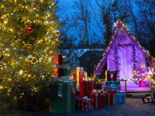 Legendia Parc offre également une seconde vie à vos sapins de Noël