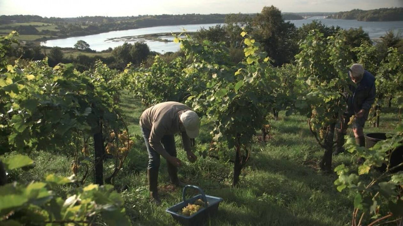 vendanges-en-utopie-2-24197